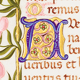 Illuminated Manuscript